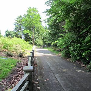 Closed Off Old Hoofstock Area