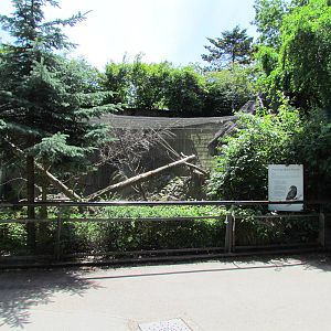 Adaptations Building - Kea Exhibit