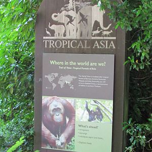 Trail of Vines - Entrance