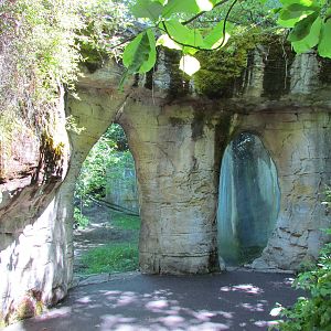 Trail of Vines - Orangutan Exhibit