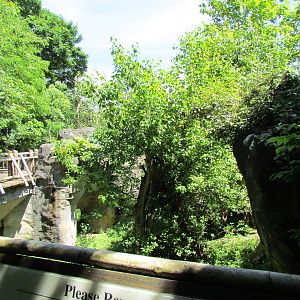 Trail of Vines - Orangutan Exhibit