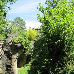 Trail of Vines - Orangutan Exhibit