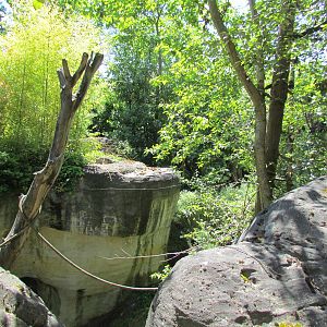Trail of Vines - Orangutan Exhibit