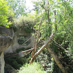 Trail of Vines - Orangutan Exhibit