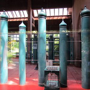 Elephant Forest - Asian Elephant Barn