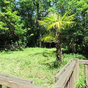 Elephant Forest - Former Demonstration Area