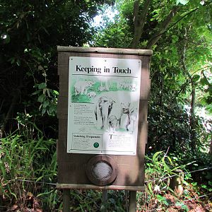 Elephant Forest - Signage