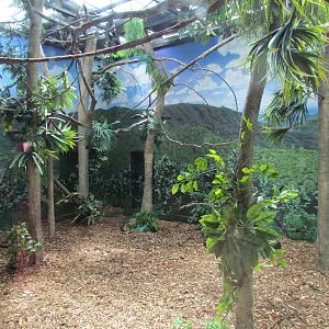 Adaptations Building - Indian Flying Fox Exhibit