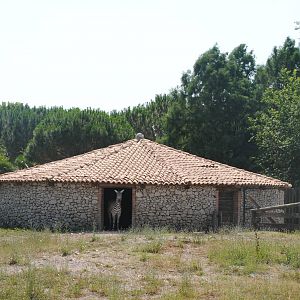 Parco Faunistico Valcorba - Padova