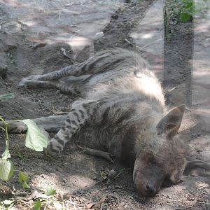 Parco Faunistico Valcorba - Padova