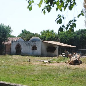 Parco Faunistico Valcorba - Padova