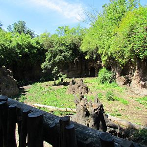 African Savanna - Warthog Exhibit