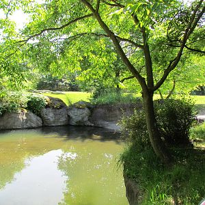 African Savanna - River Hippopotamus Exhibit