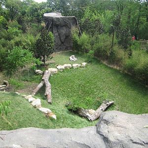 Jul. 2012-White Tiger exhibit