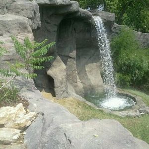 Jul. 2012-Waterfall in the White Tiger exhibit