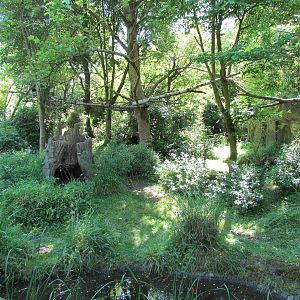 Tropical Rainforest - Colobus Exhibit
