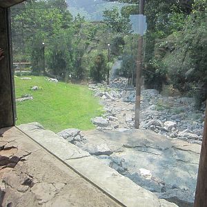 Jul. 2012-Snow Leopard exhibit