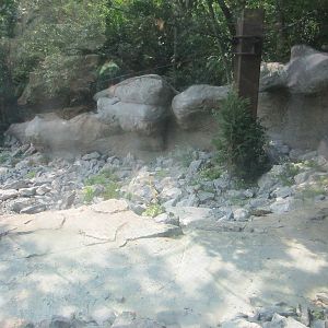 Jul. 2012-Snow Leopard exhibit