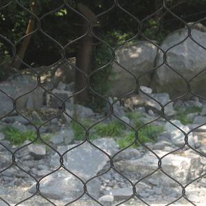 Jul. 2012-Find the Snow Leopards