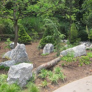 Jul. 2012-Montane Garden