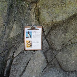 Penguin Exhibit - Signage