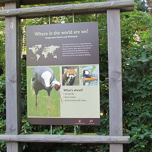 Temperate Forest - Signage