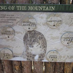 Jul. 2012-Snow Leopard Interactive Sign