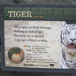 Jul. 2012-Correct White Tiger Sign