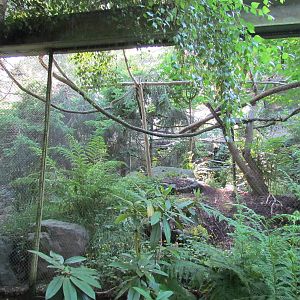 Temperate Forest - Conservation Aviaries