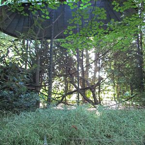 Temperate Forest - Conservation Aviaries