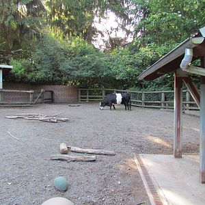 Temperate Forest - Family Farm