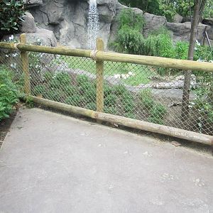 Jul. 2012-First White Tiger exhibit viewing