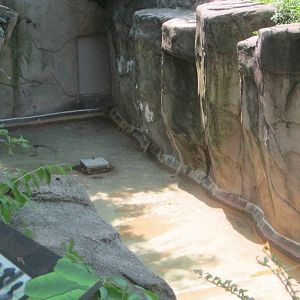 Jul. 2012-Moat in the Western Lowland Gorilla exhibit