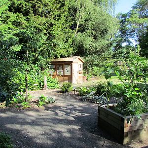 Temperate Forest - Family Farm