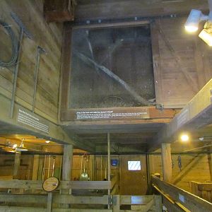 Temperate Forest - Family Farm