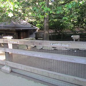 Temperate Forest - Family Farm