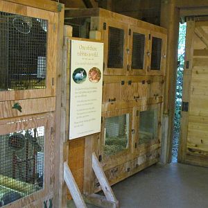 Temperate Forest - Family Farm