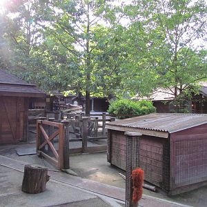 Temperate Forest - Family Farm