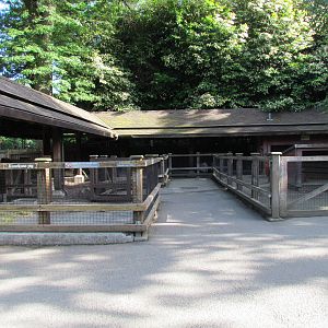 Temperate Forest - Family Farm