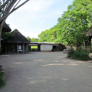 African Savanna - Village