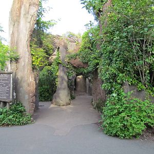 Tropical Rainforest - Entrance
