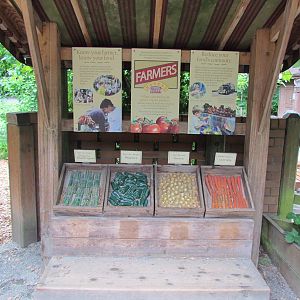 Temperate Forest - Family Farm