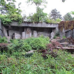 Sumatran Tiger Exhibit