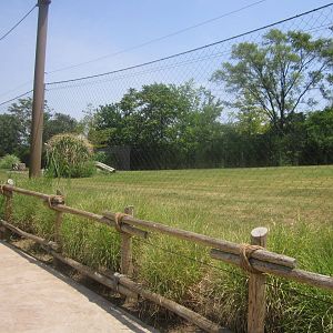 Jul. 2012-Cheetah Encounter