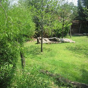 Jul. 2012-Improved Eastern Bongo/East African Crowned Crane exhibit