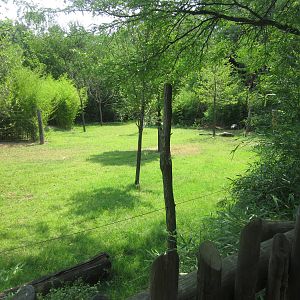 Jul. 2012-Improved Eastern Bongo/East African Crowned Crane exhibit
