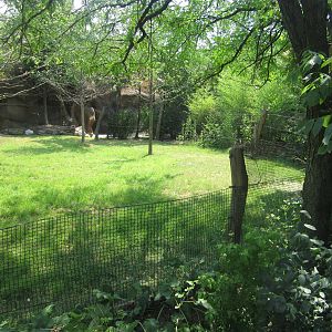 Jul. 2012-Improved Okapi/Yellow-backed Duiker exhibit