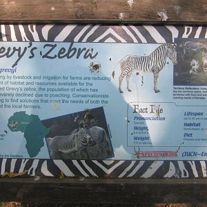 Jul. 2012-Zebra sign