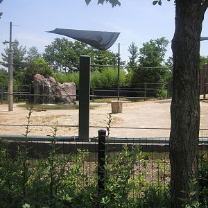 Jul. 2012-Sabu's yard