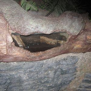 Jul. 2012-Emperor Scorpion exhibit